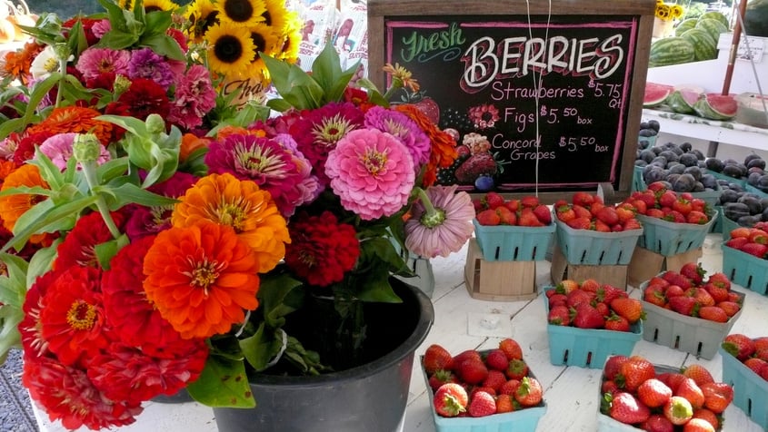 Farm Stand